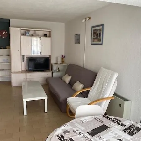 Vue Sur Le Port, Proche Agde